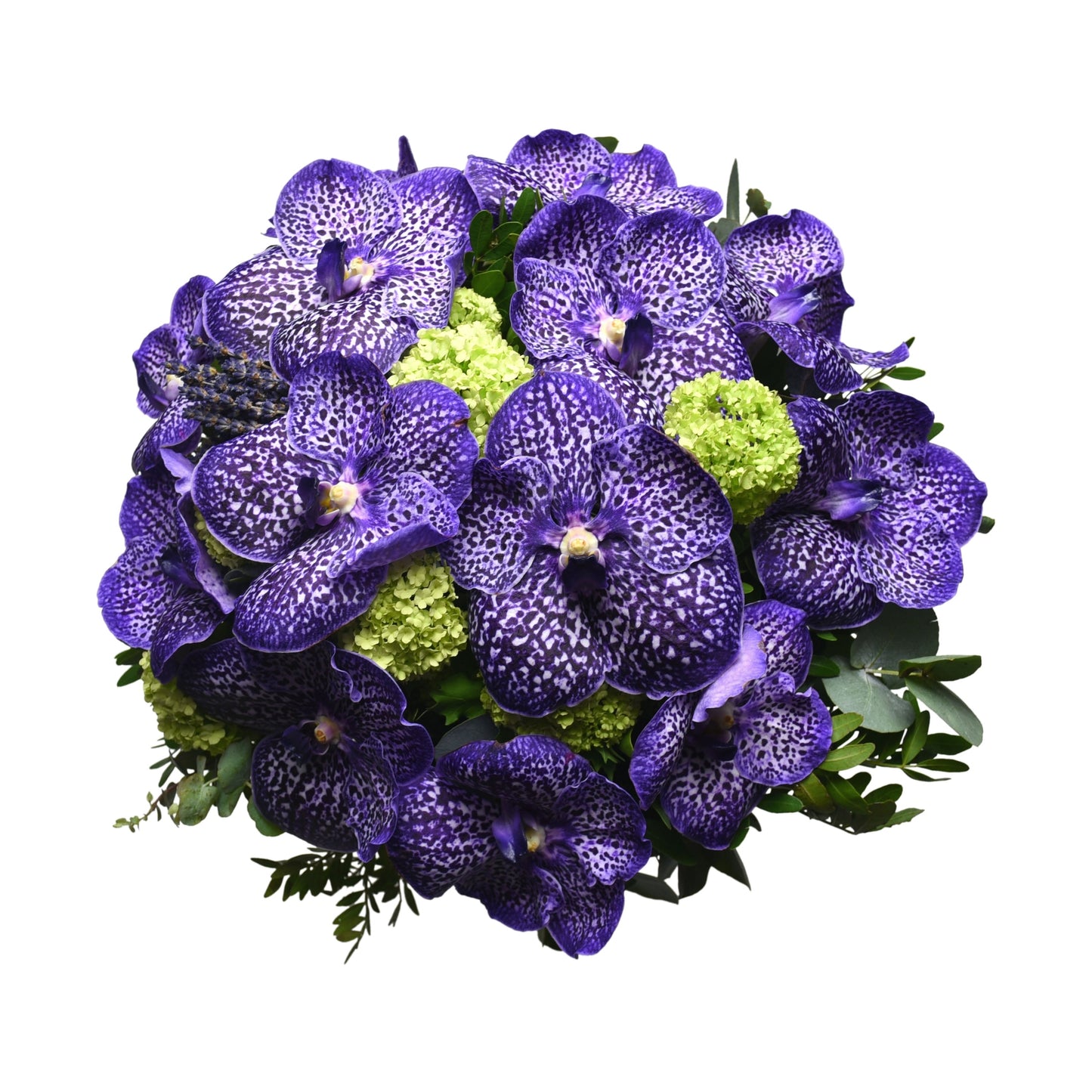 A hand-tied bouquet featuring blue vanda orchids, viburnum, and freeze-dried lavender with fresh greenery.