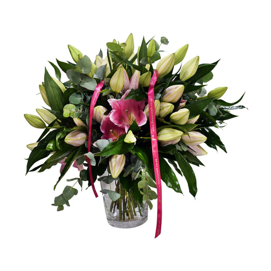 A bouquet of subtle pink oriental lilies with green leaves and pink ribbons, vase not included.