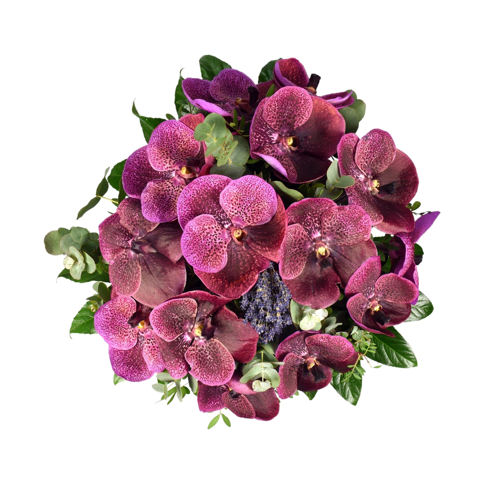 A bouquet of pink Vanda orchids with green foliage and freeze-dried lavender.