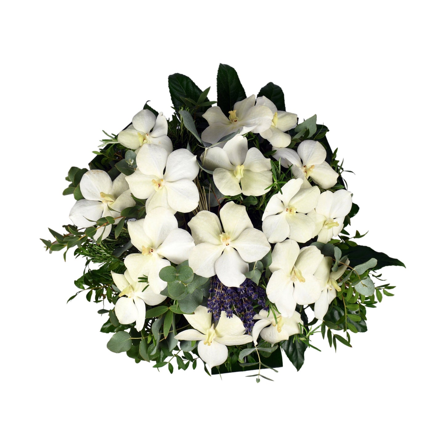 A Magnificent all-white bouquet consisting of vanda orchids, freeze-dried lavender, and fragrant cinerea and pistashio for added greenery.