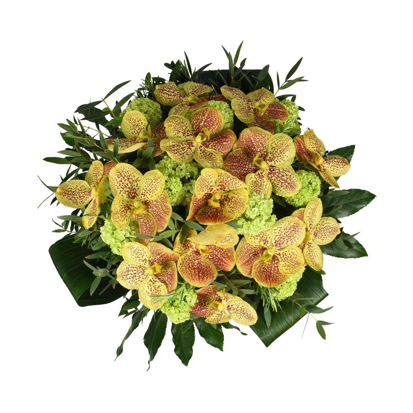 A hand-tied bouquet featuring yellow vanda orchids and green viburnum with green foliage.