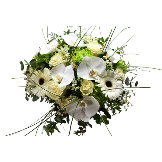 A hand-tied bouquet with white roses, white phalaenopsis, white bouvardia, white tanacetum, white gerbera, and green shamrock, cinerea, pistash, and bear grass.