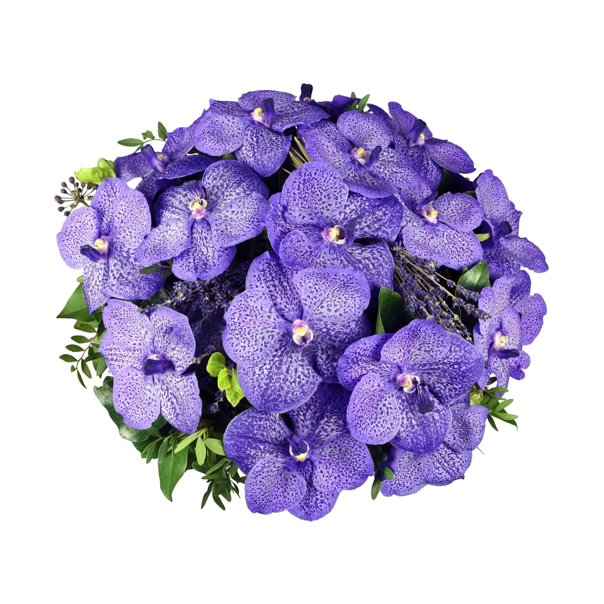 A bouquet of blue vanda orchids with freeze-dried lavender.