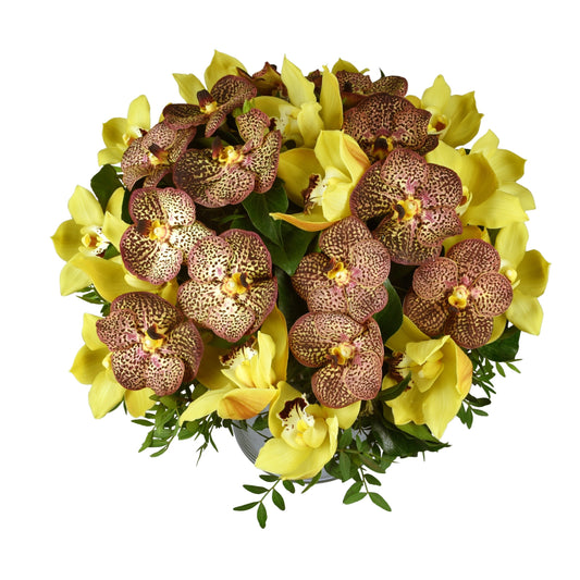A hand-tied bouquet consisting of vanda and cymbidium orchids with pistachio as foliage, featuring warm, rich natural colors.