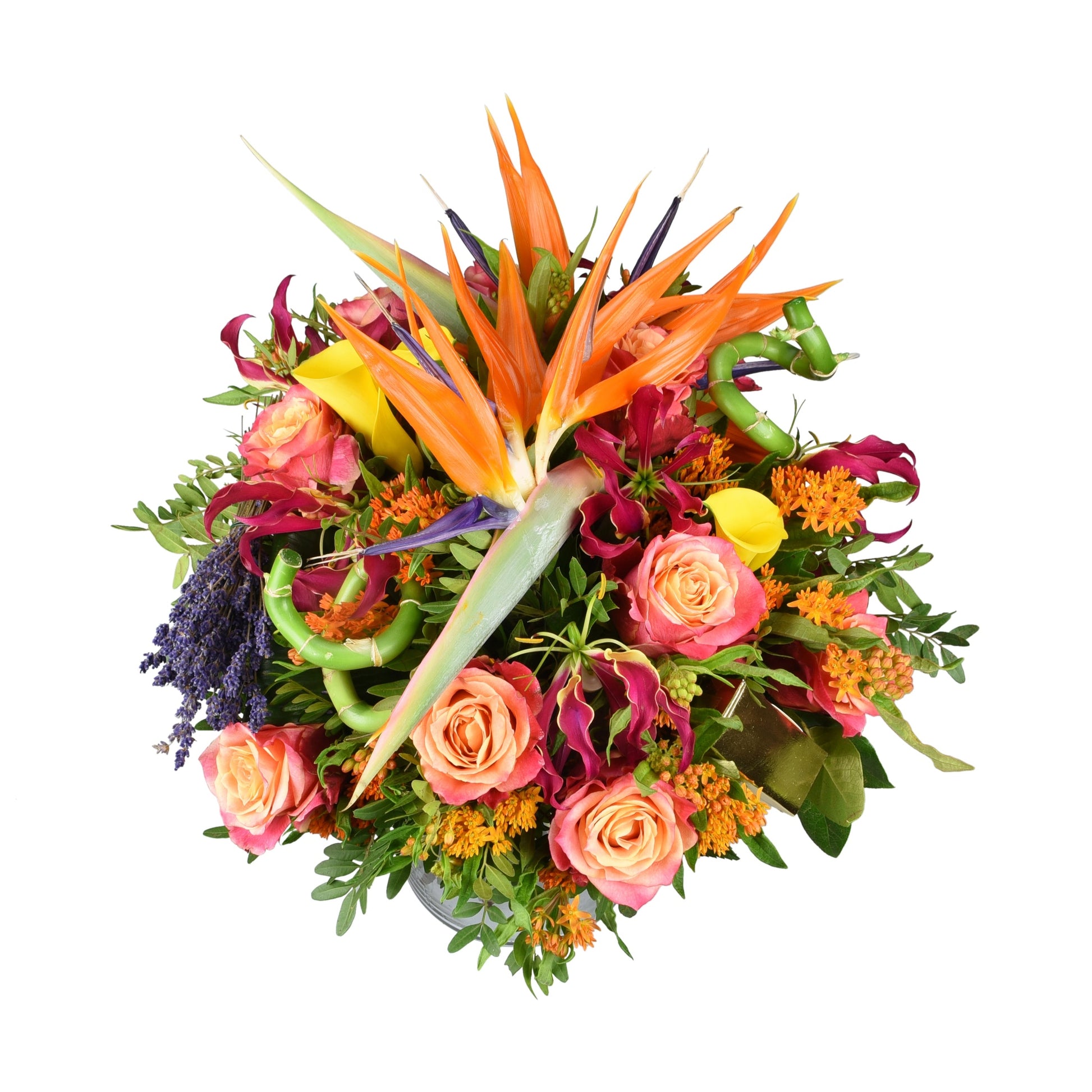 A vibrant summer bouquet featuring a streltizia (bird of paradise), two-tone large headed roses, gloriosa, asclepia, zantedeschia, and freeze-dried lavender with a selection of foliage.