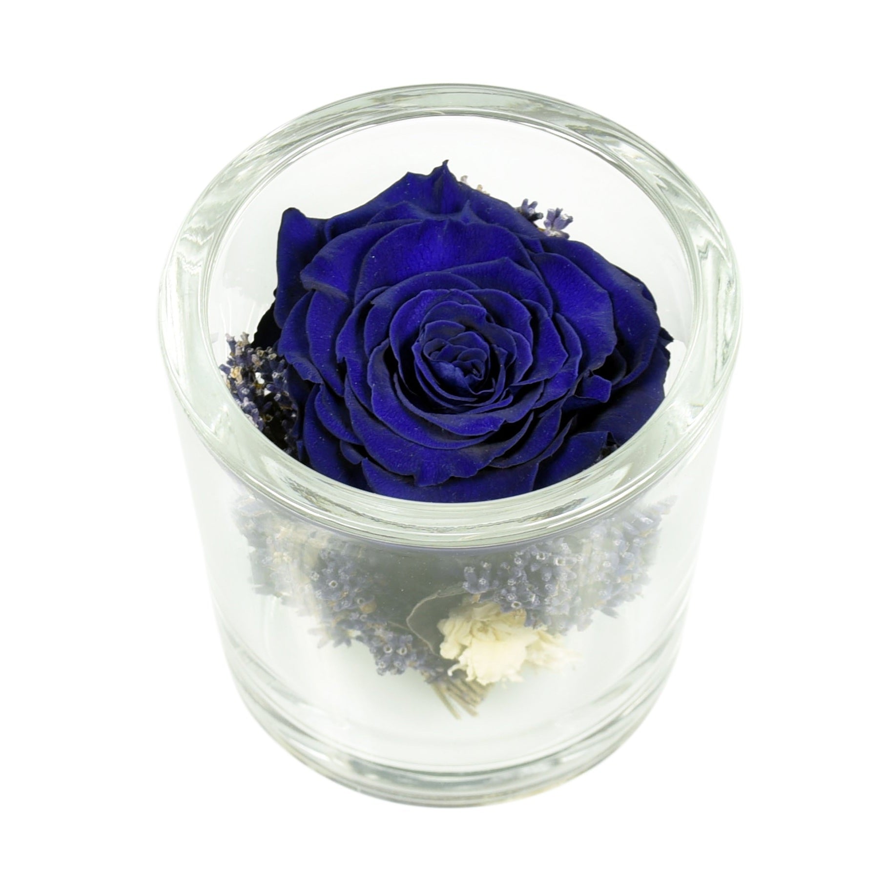 A preserved royal blue rose arranged inside a clear glass container with a white base, placed on a white surface.