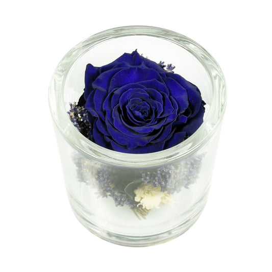 A preserved royal blue rose arranged inside a clear glass container with a white base, placed on a white surface.