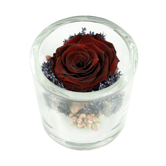 A deep red preserved rose in a clear glass container with freeze-dried flowers arranged inside.
