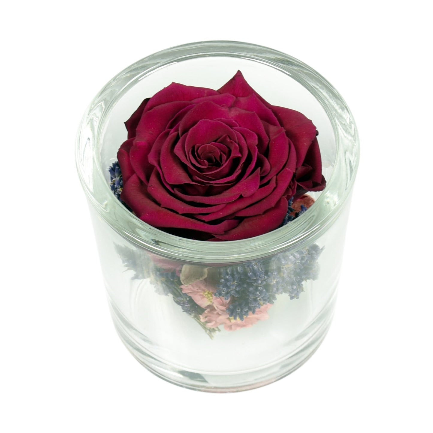 A preserved red rose arranged in a clear glass container with a silver lid, presented on a white background.