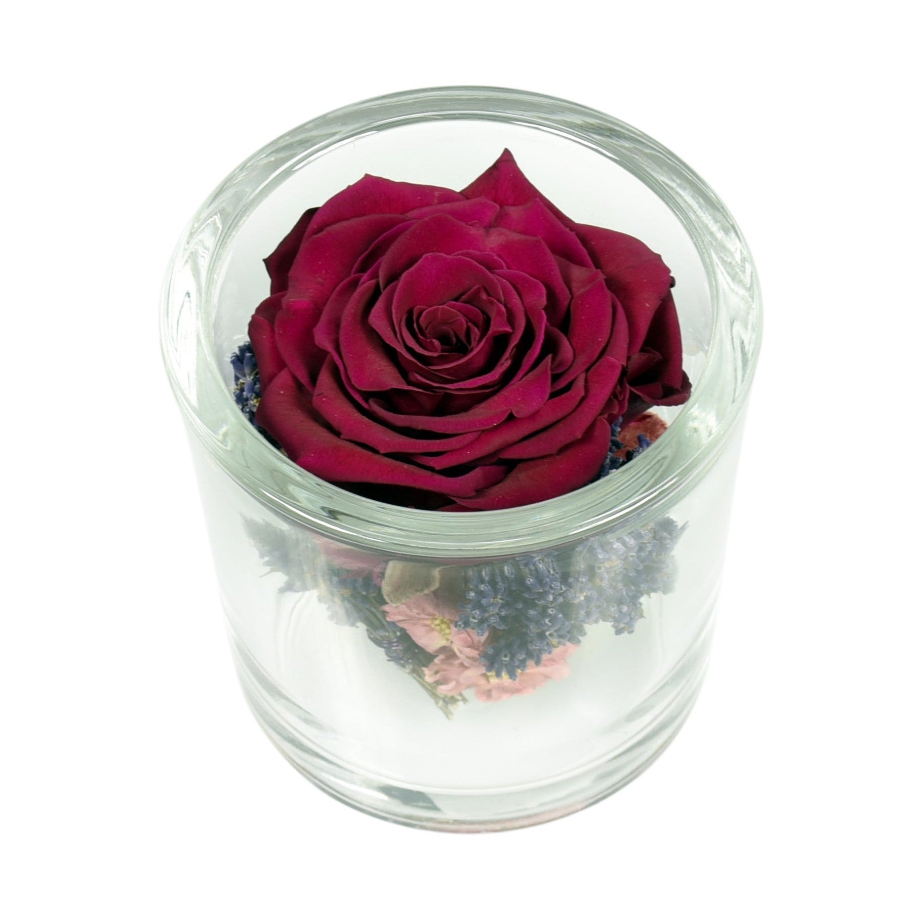 A preserved red rose arranged in a clear glass container with a silver lid, presented on a white background.