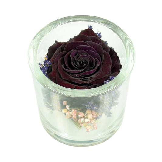 A preserved dark-colored rose arranged in a clear glass container with a white base.