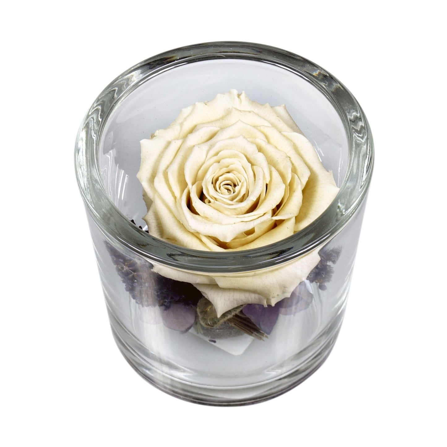 A white preserved rose arranged in a clear glass container with freeze-dried flowers, tied with a ribbon.