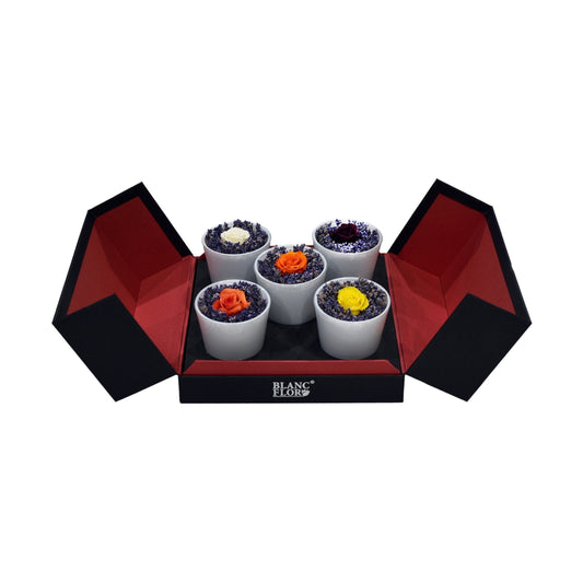 A set of five freeze-dried lavender and rose gifts presented in a black and red gift box with Flowerstalk ribbon.