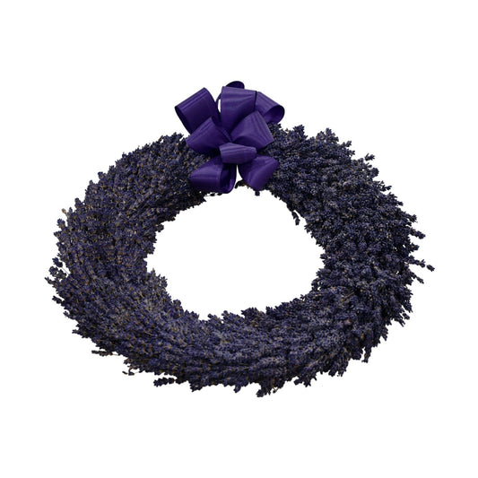 A freeze-dried lavender wreath with a purple ribbon bow at the top, isolated on a white background.